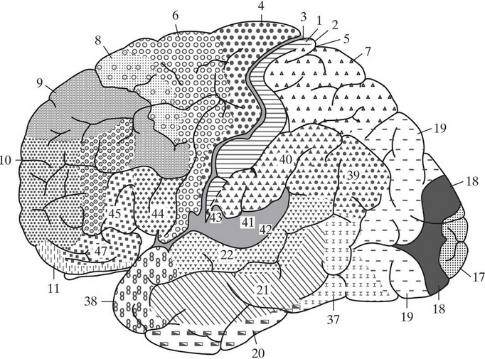 %&&&&&%家纳米记忆技术研究获进展 建立人工神经元网络 %&&&&&%%&&&&&%记忆%&&&&&%研究获进展 建立人工神经元网络