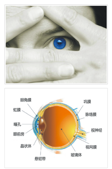 流言揭秘:LED灯的蓝光会损害眼睛吗?