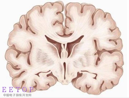 你信吗?人脑记忆可以存储备份了 是真的