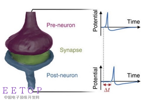 20170504_E-brain_NT01P2